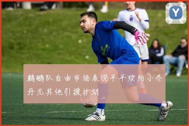 鹈鹕队自由市场表现平平续约小乔丹无其他引援计划
