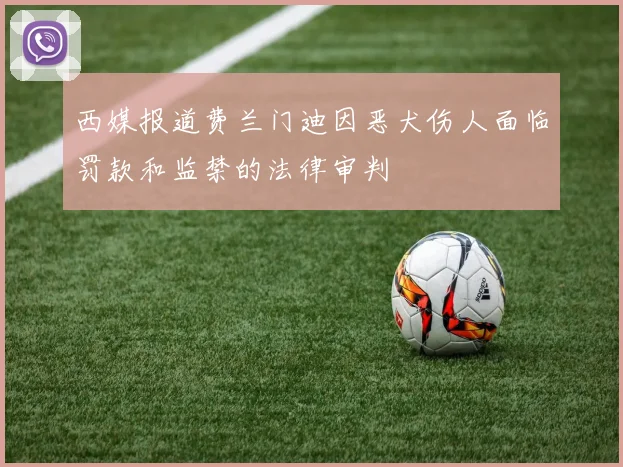 西媒报道费兰门迪因恶犬伤人面临罚款和监禁的法律审判